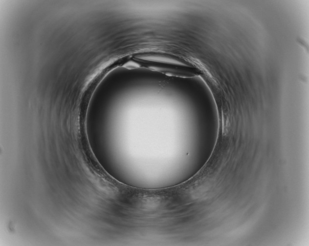 X0000096460531200801241409