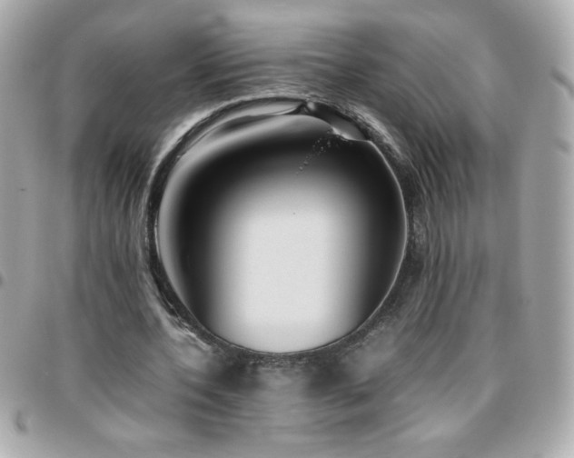 X0000096460532200801241409