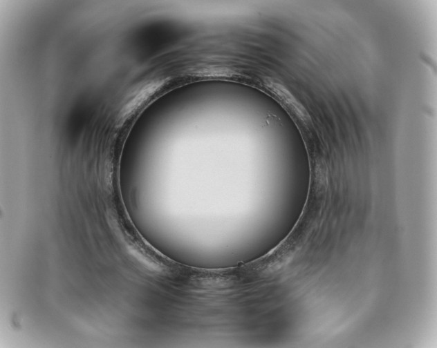 X0000096460533200801241409