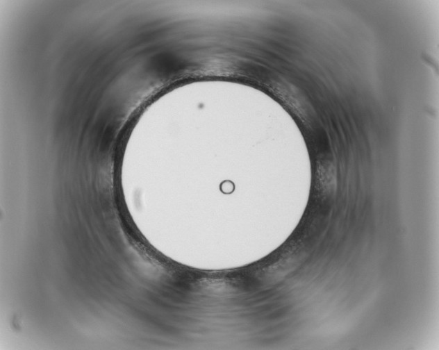 X0000096460534200801241409