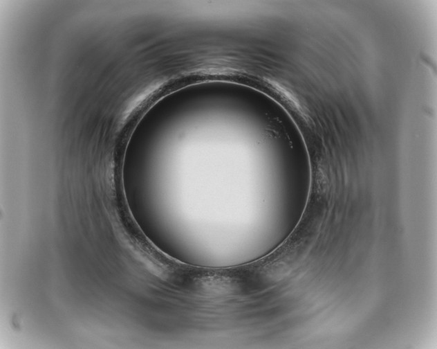 X0000096460535200801241409