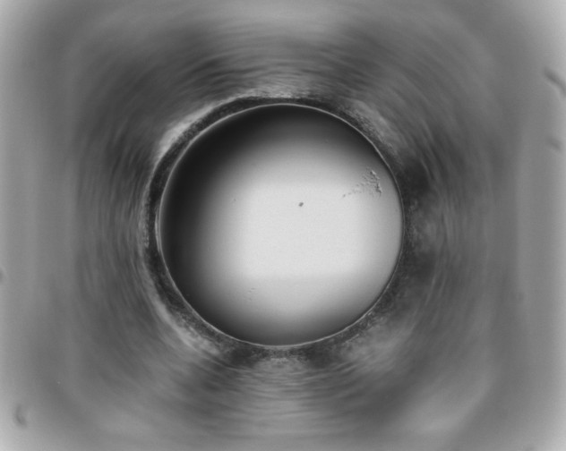 X0000096460536200801241409
