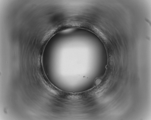 X0000096460537200801241409