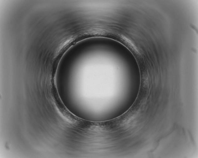 X0000096460538200801241409