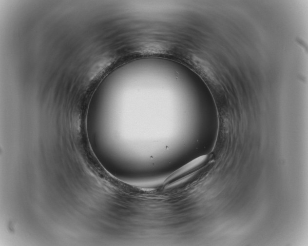 X0000096460539200801241409