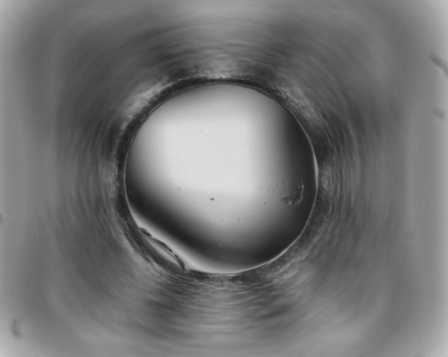 X0000096460540200801241409