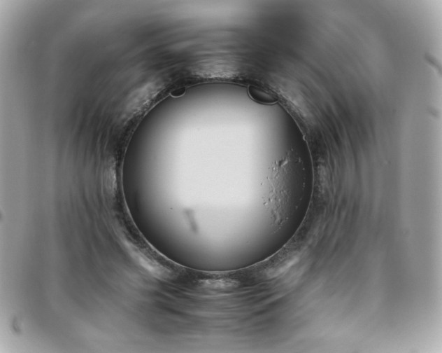 X0000096460541200801241409