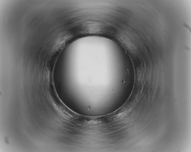 X0000096460542200801241409