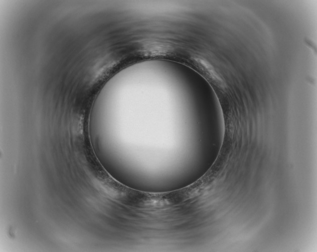 X0000096460543200801241409