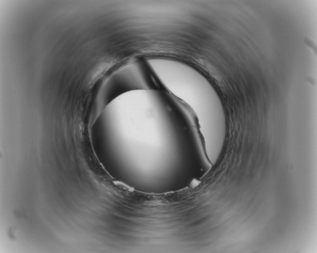 X0000096460544200801241409