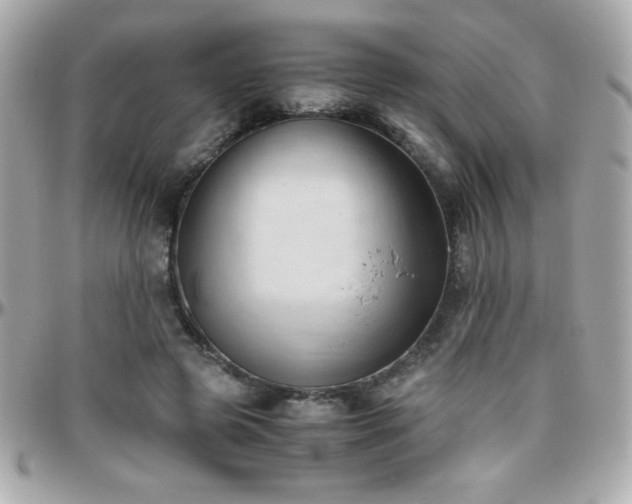 X0000096460545200801241409