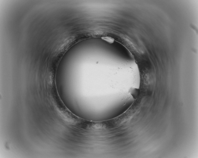 X0000096460546200801241409