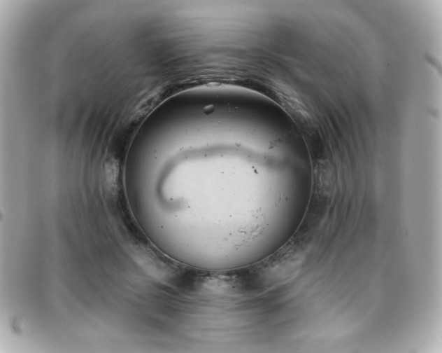 X0000096460550200801241409