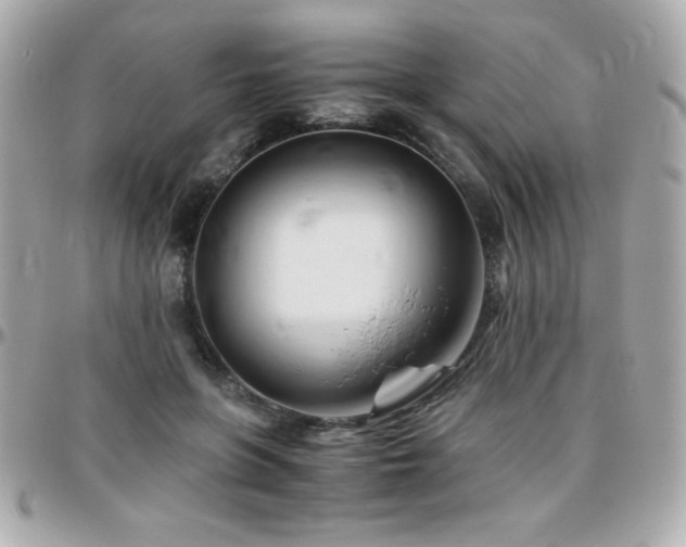 X0000096460551200801241409