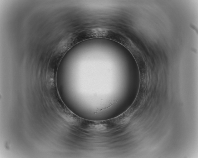 X0000096460553200801241409