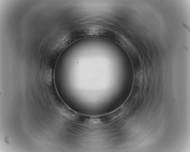 X0000096460554200801241409