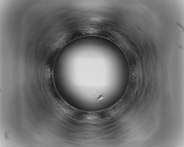 X0000096460555200801241409