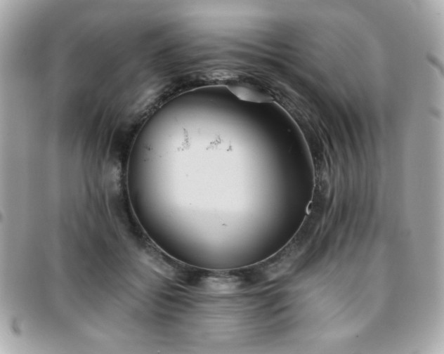 X0000096460556200801241409