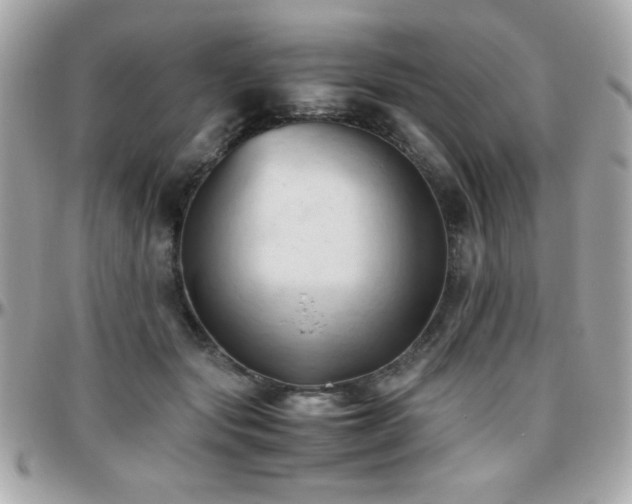 X0000096460557200801241409