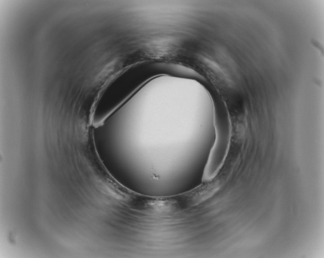 X0000096460558200801241409