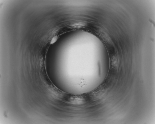 X0000096460559200801241409