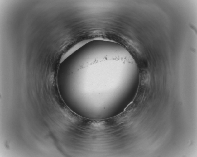 X0000096460560200801241409