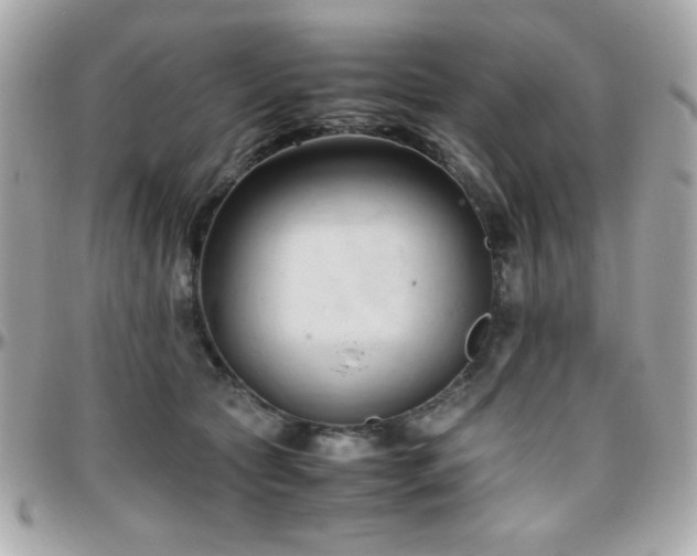 X0000096460561200801241409