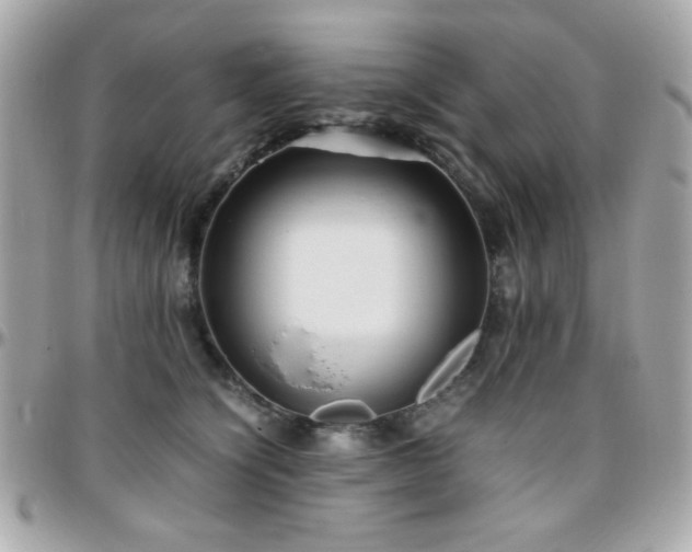 X0000096460564200801241409