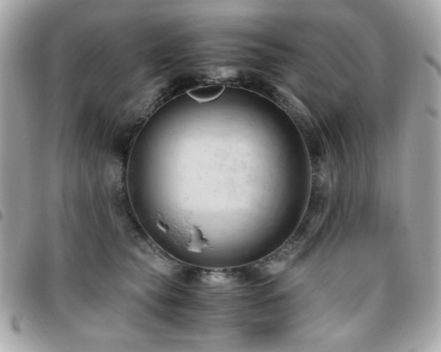 X0000096460565200801241409