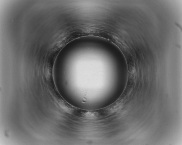 X0000096460566200801241409