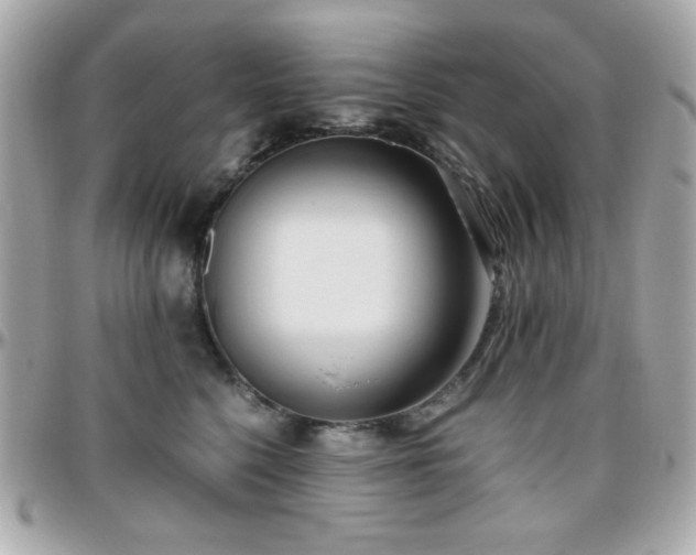 X0000096460568200801241409