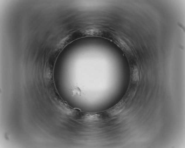 X0000096460569200801241409