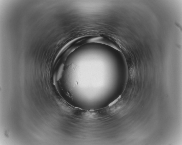 X0000096460570200801241409