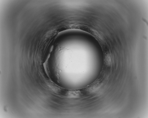 X0000096460571200801241409