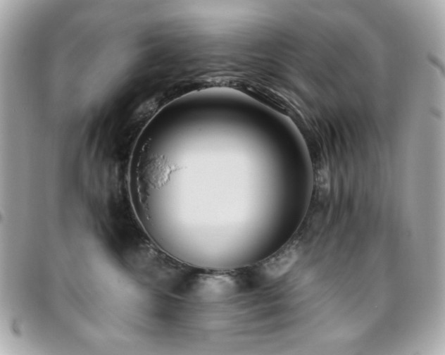 X0000096460572200801241409