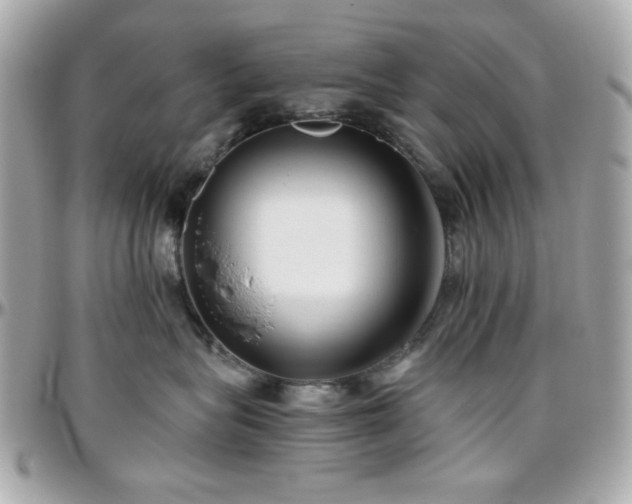 X0000096460575200801241409