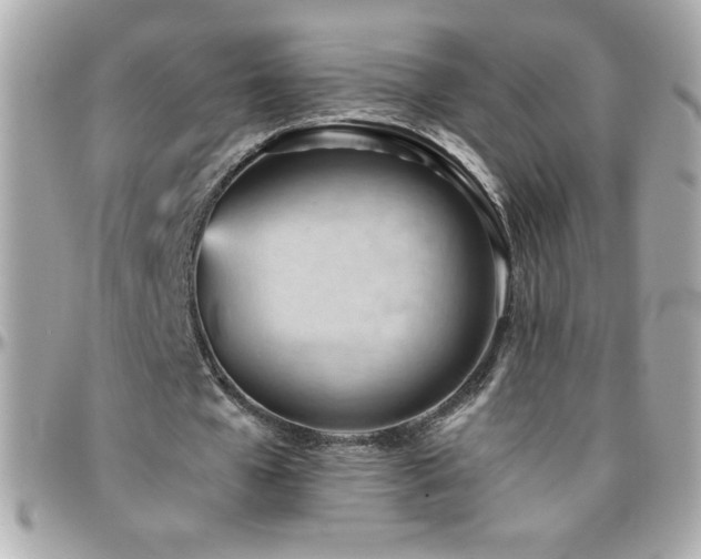 X0000096460577200801241409