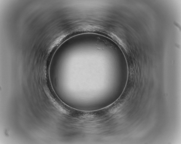 X0000096460581200801241408