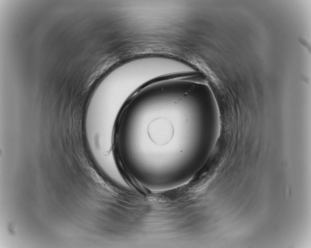X0000096460585200801241408
