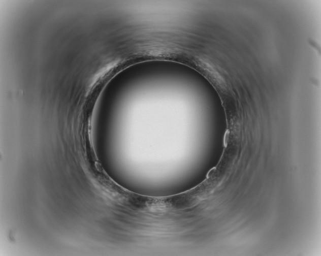 X0000096460587200801241408