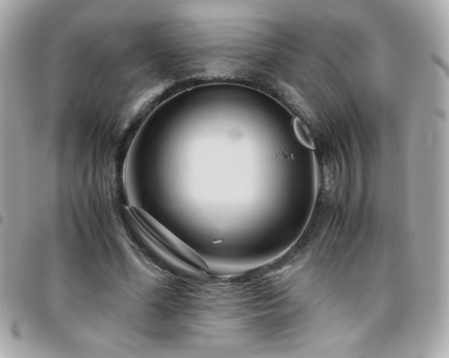 X0000096460588200801241408