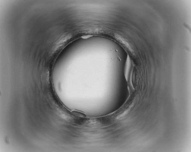 X0000096460589200801241408