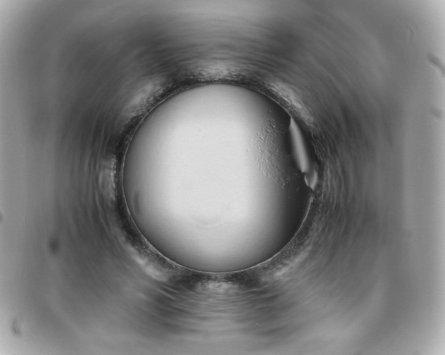 X0000096460590200801241408