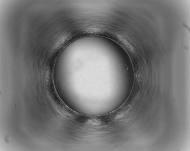 X0000096460591200801241408