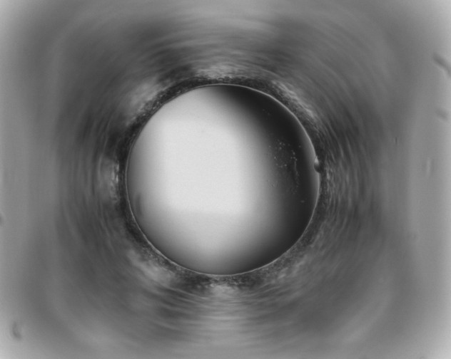 X0000096460592200801241408