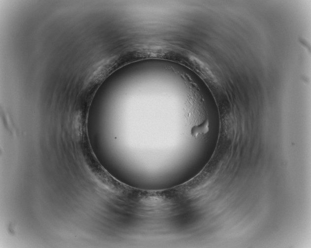 X0000096460594200801241408