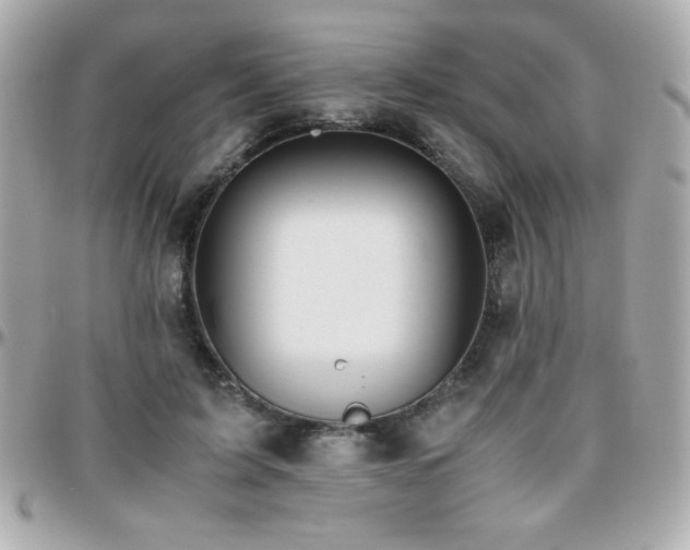 X0000096460595200801241408