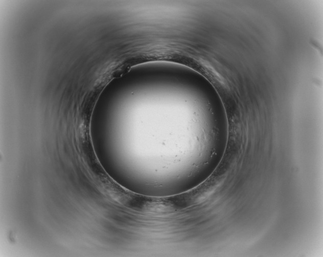 X0000096460597200801241408