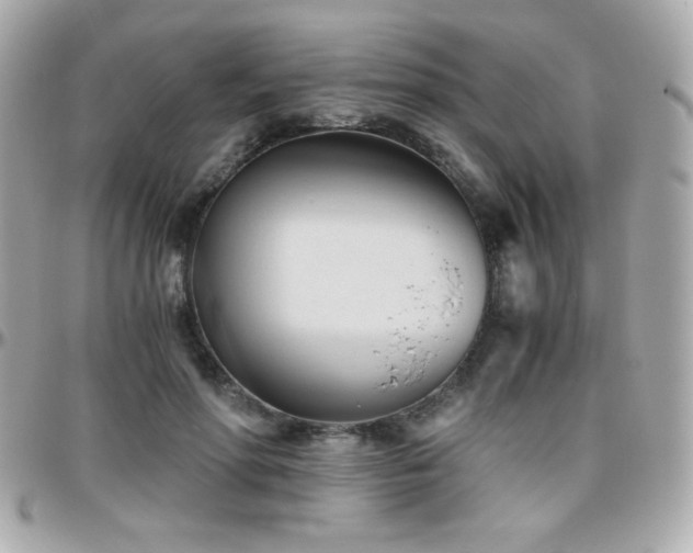 X0000096460598200801241408