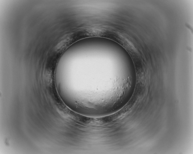 X0000096460599200801241408